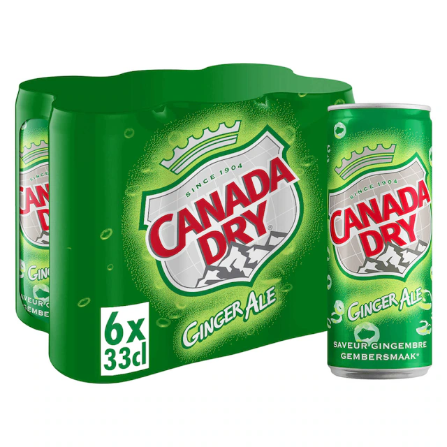 CANADA DRY 6X33CL 