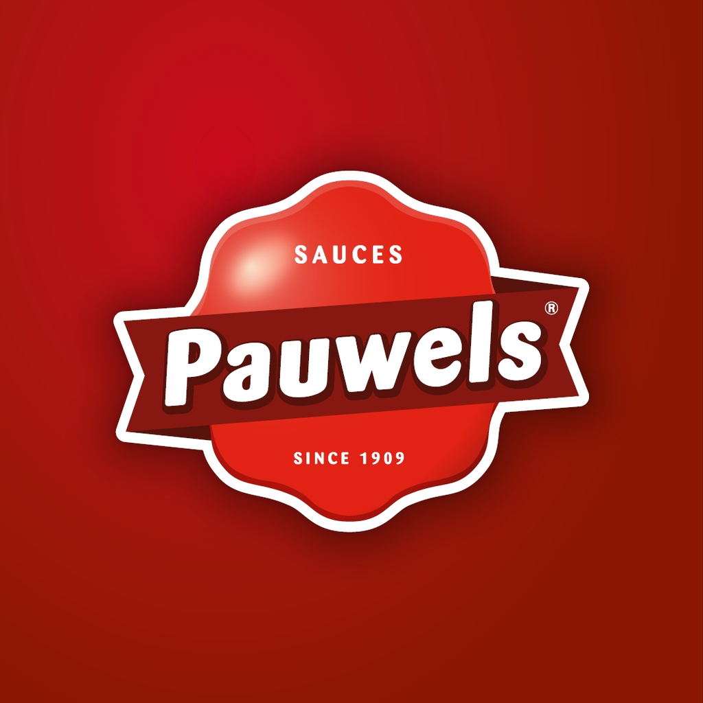 SAUCE PAUWELS TUBE DE 1L