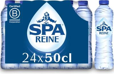 SPA REINE 24X50CL 
